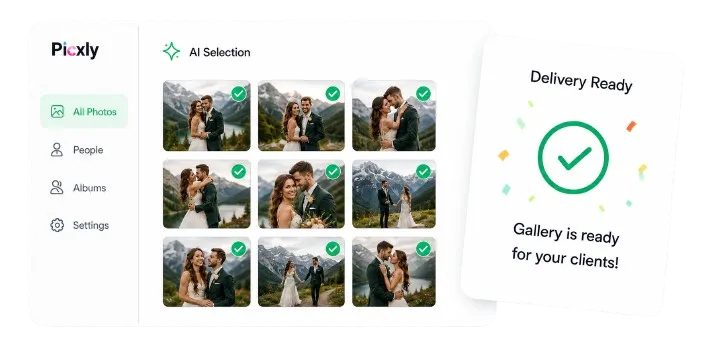 picxly Dashboard Preview